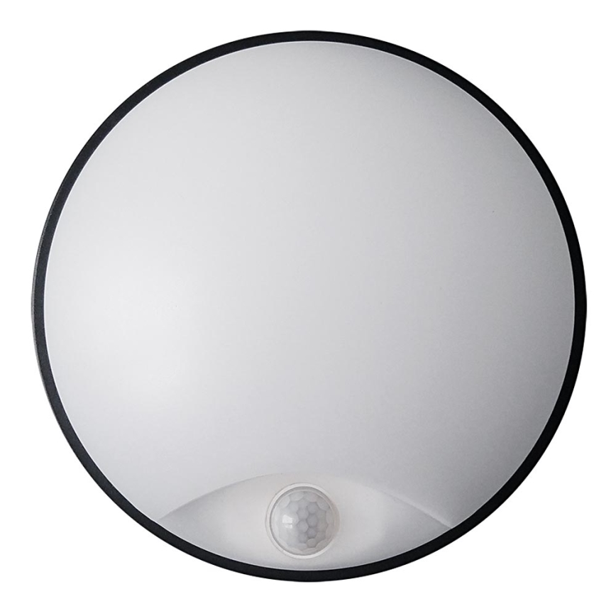 LED Zunanja stenska svetilka s senzorjem LED/14W/230V IP54