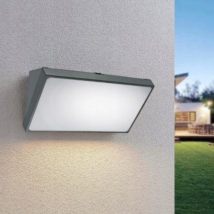 LED zunanja stenska svetilka s senzorjem gibanja LED/20W/230V IP65 siva