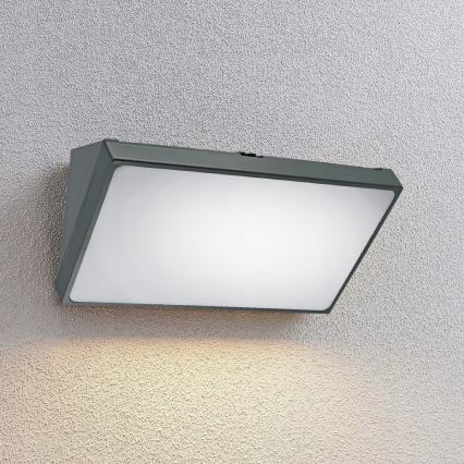 LED zunanja stenska svetilka s senzorjem gibanja LED/20W/230V IP65 siva