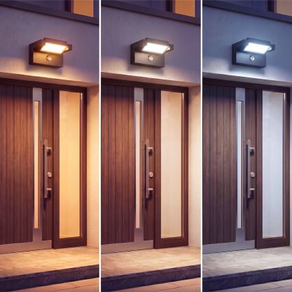 LED zunanja stenska svetilka s senzorjem gibanja in senzorjem mraka LED/25W/230V 3000/4000/6500K IP54 črna