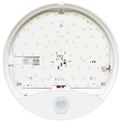 LED Zunanja stenska svetilka s senzorjem LORA LED/15W/230V IP44