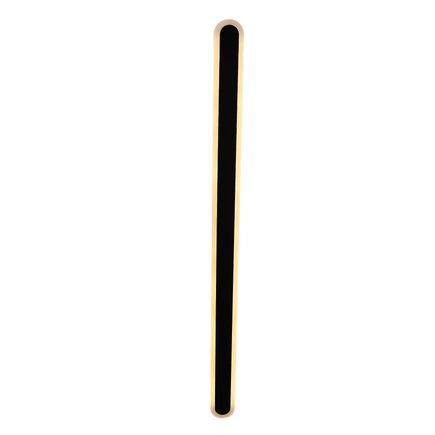 LED Zunanja stenska svetilka STICK LED/36W/230V IP65 3000K 120 cm