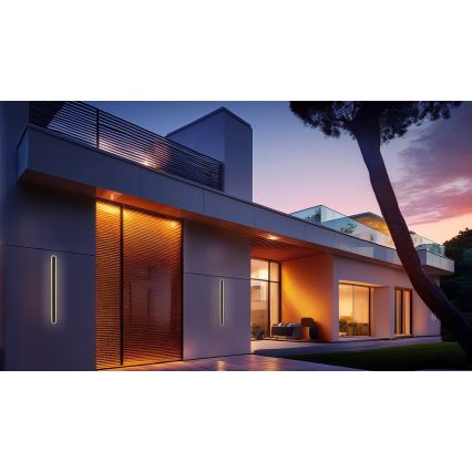 LED Zunanja stenska svetilka STICK LED/45W/230V IP65 3000K 150 cm
