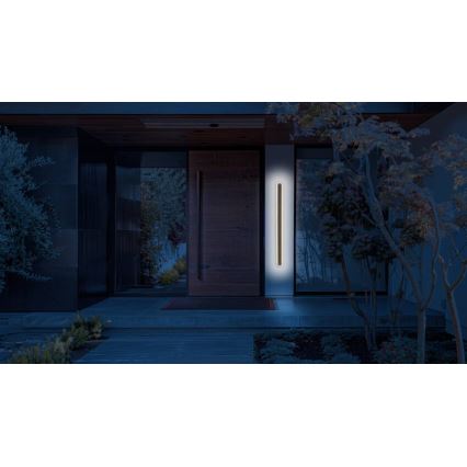 LED Zunanja stenska svetilka STICK LED/45W/230V IP65 3000K 150 cm