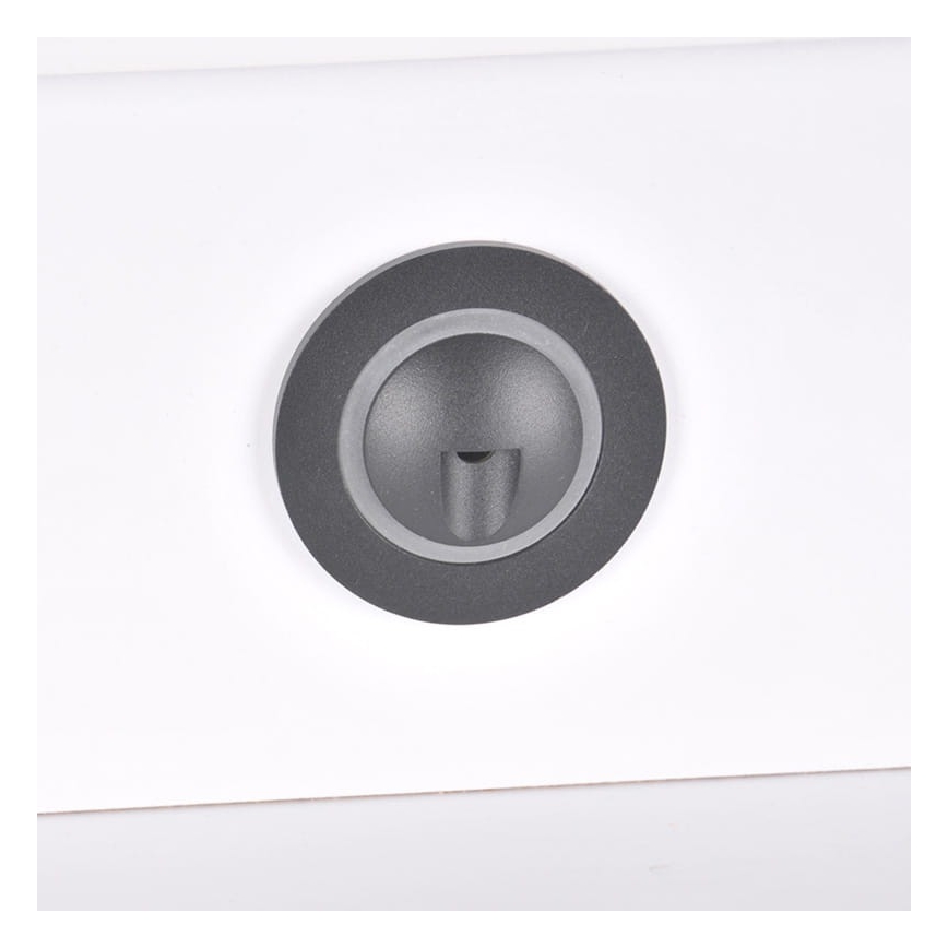 LED Zunanja stopniščna svetilka Q2 LED/3W/230V IP44