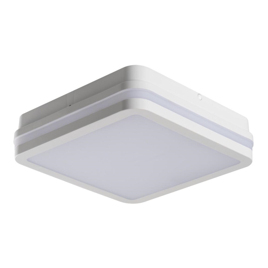 LED Zunanja stropna svetilka BENO LED/18W/230V 4000K bela IP54