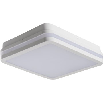 LED Zunanja stropna svetilka BENO LED/24/30W/230V 3000/3500/4000K IP65 bela kvadraten