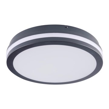 LED Zunanja stropna svetilka BENO LED/24W/230V IP54 antracit