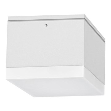 LED Zunanja stropna svetilka BRUNO LED/10W/230V IP54