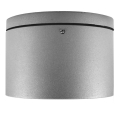 LED Zunanja stropna svetilka BRUNO LED/10W/230V IP54