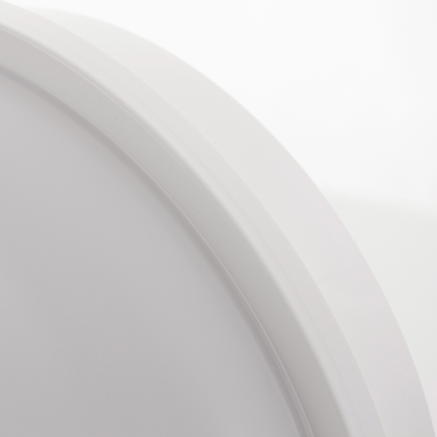 LED Zunanja stropna svetilka DARA ROUND LED/20W/230V IP65