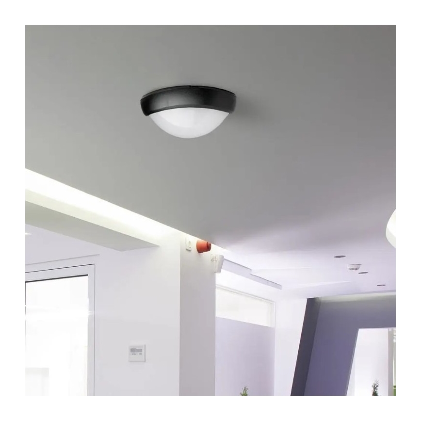 LED Zunanja stropna svetilka LED/12W/230V IP54