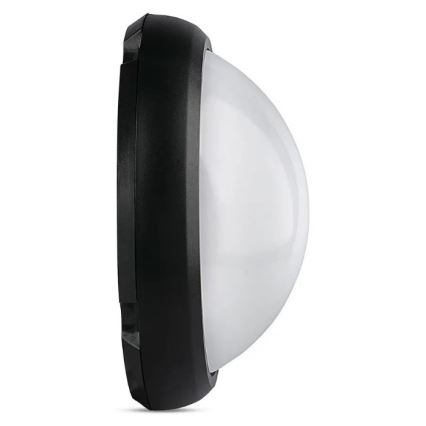 LED Zunanja stropna svetilka LED/12W/230V IP54