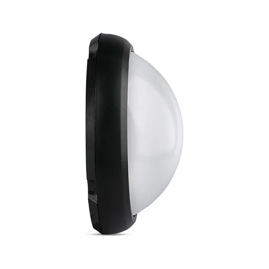 LED Zunanja stropna svetilka LED/12W/230V IP54