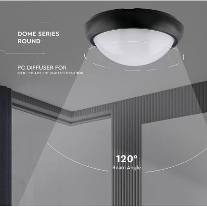 LED Zunanja stropna svetilka LED/12W/230V IP54