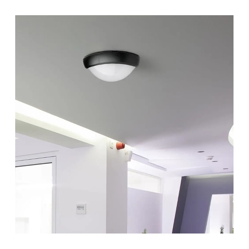 LED Zunanja stropna svetilka LED/12W/230V IP54