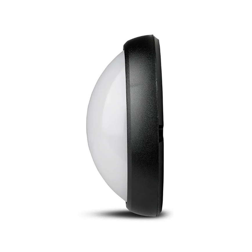 LED Zunanja stropna svetilka LED/12W/230V IP54