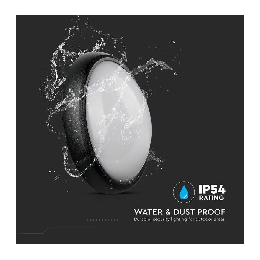 LED Zunanja stropna svetilka LED/12W/230V IP54