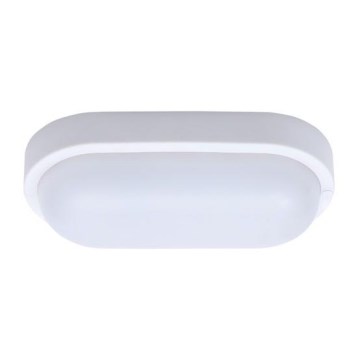 LED Zunanja stropna svetilka LED/13W/230V IP54