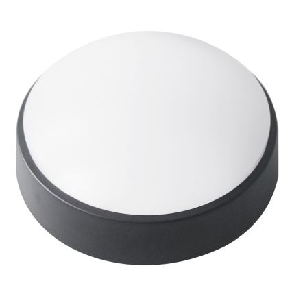 LED Zunanja stropna svetilka LED/14W/230V IP54 črna