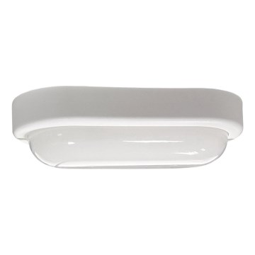 LED Zunanja stropna svetilka LED/15W/230V 4200K 20x9,8 cm IP64 bela