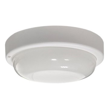 LED Zunanja stropna svetilka LED/15W/230V 4200K pr. 15,5 cm IP64 bela