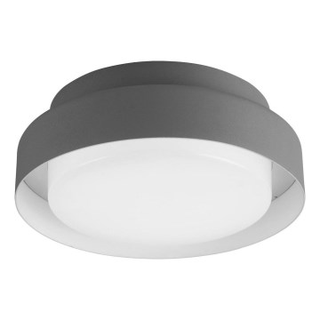 LED Zunanja stropna svetilka LED/15W/230V IP65