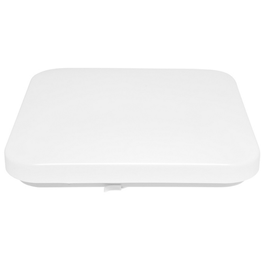 LED Zunanja stropna svetilka LUKA LED/42W/230V IP44