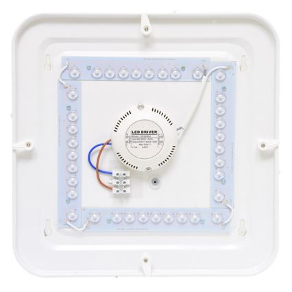 LED Zunanja stropna svetilka LUKA LED/42W/230V IP44