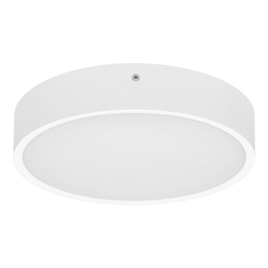 LED Zunanja stropna svetilka MARTIN LED/15W/230V 3000/4000K pr. 30 cm IP65 bela