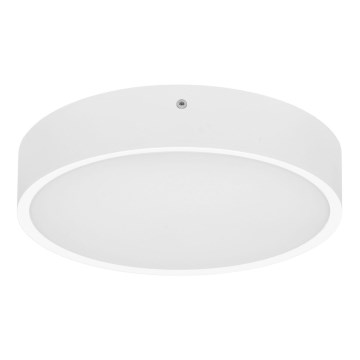 LED Zunanja stropna svetilka MARTIN LED/25W/230V 3000/4000K pr. 35 cm IP65 bela