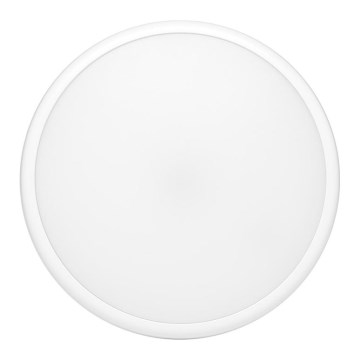 LED Zunanja stropna svetilka MOVA LED/16W/230V IP65