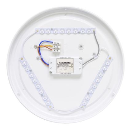 LED Zunanja stropna svetilka NELA LED/20W/230V IP44