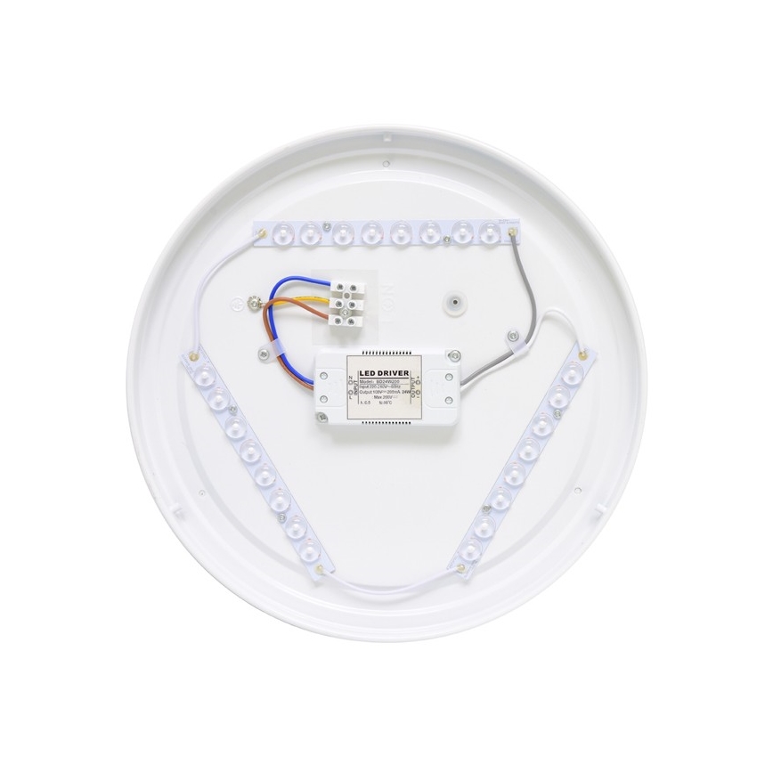 LED Zunanja stropna svetilka NELA LED/20W/230V IP44