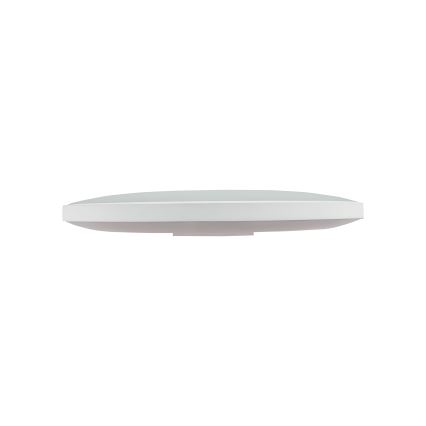 LED Zunanja stropna svetilka NYMPHEA LED/32W/230V IP54 3000K