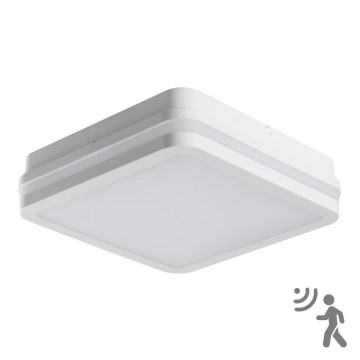 LED Zunanja stropna svetilka s senzorjem BENO LED/18W/230V 4000K bela IP54