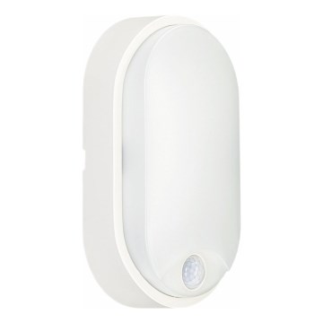 LED Zunanja stropna svetilka s senzorjem LED/14W/230V IP54 bela