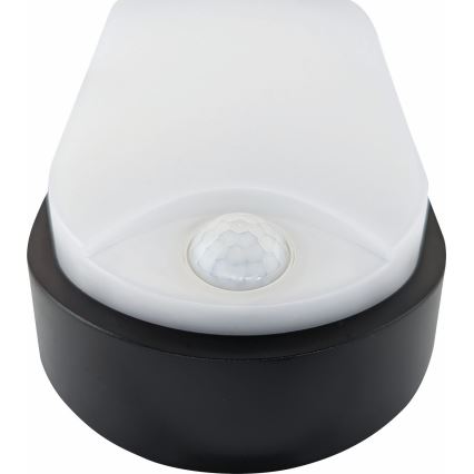 LED Zunanja stropna svetilka s senzorjem LED/14W/230V IP54 črna