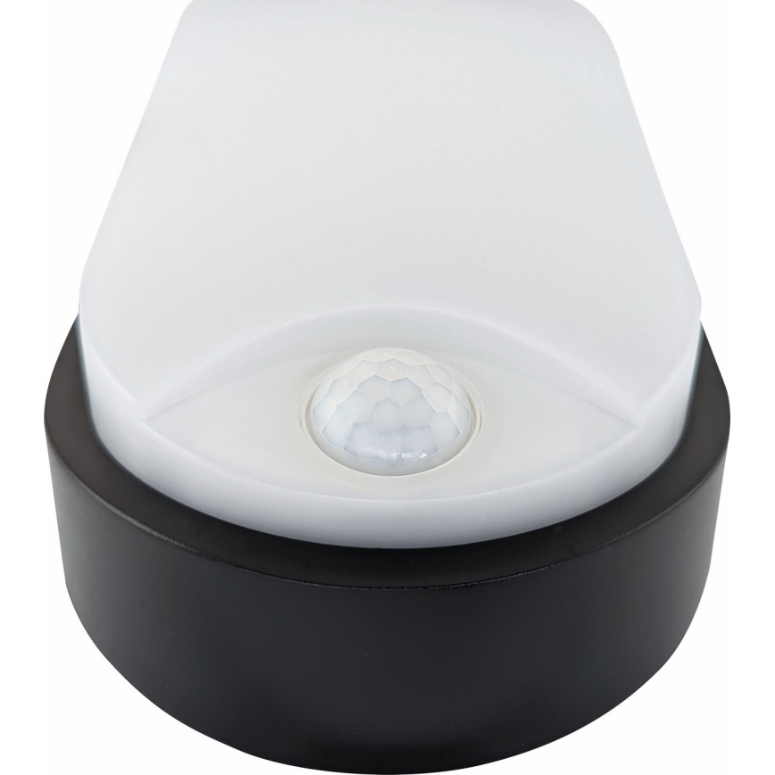 LED Zunanja stropna svetilka s senzorjem LED/14W/230V IP54 črna