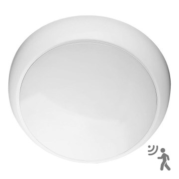 LED Zunanja stropna svetilka s senzorjem LED/8W/16W/20W/230V IP65 3000/4000/6500K