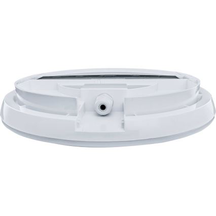 LED Zunanja stropna svetilka s senzorjem RENO LED/16W/230V IP66 bela
