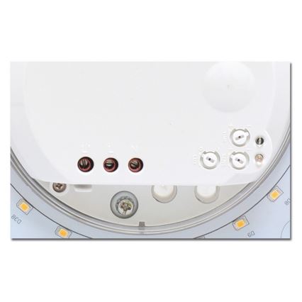 LED Zunanja stropna svetilka s senzorjem VICTOR LED/25W/230V IP44