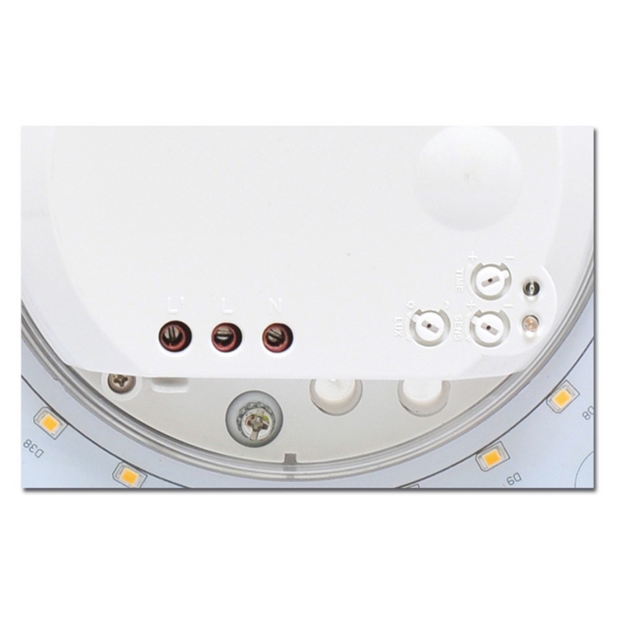 LED Zunanja stropna svetilka s senzorjem VICTOR LED/25W/230V IP44