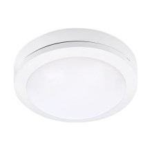 LED Zunanja stropna svetilka SIENA LED/13W/230V IP54 pr. 17 cm bela