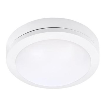 LED Zunanja stropna svetilka SIENA LED/13W/230V IP54 pr. 17 cm bela