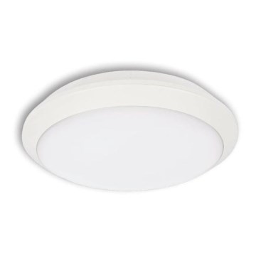 LED Zunanja stropna svetilka TIPO LED/24W/230V IP66