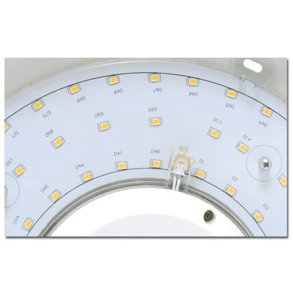 LED Zunanja stropna svetilka VICTOR LED/25W/230V IP44