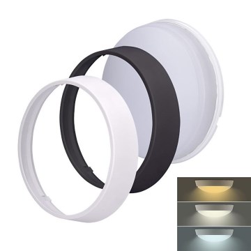 LED Zunanja svetilka 2v1 LED/12W/230V IP54