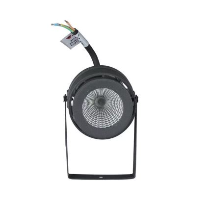 LED Zunanja svetilka LED/12W/100-240V IP65