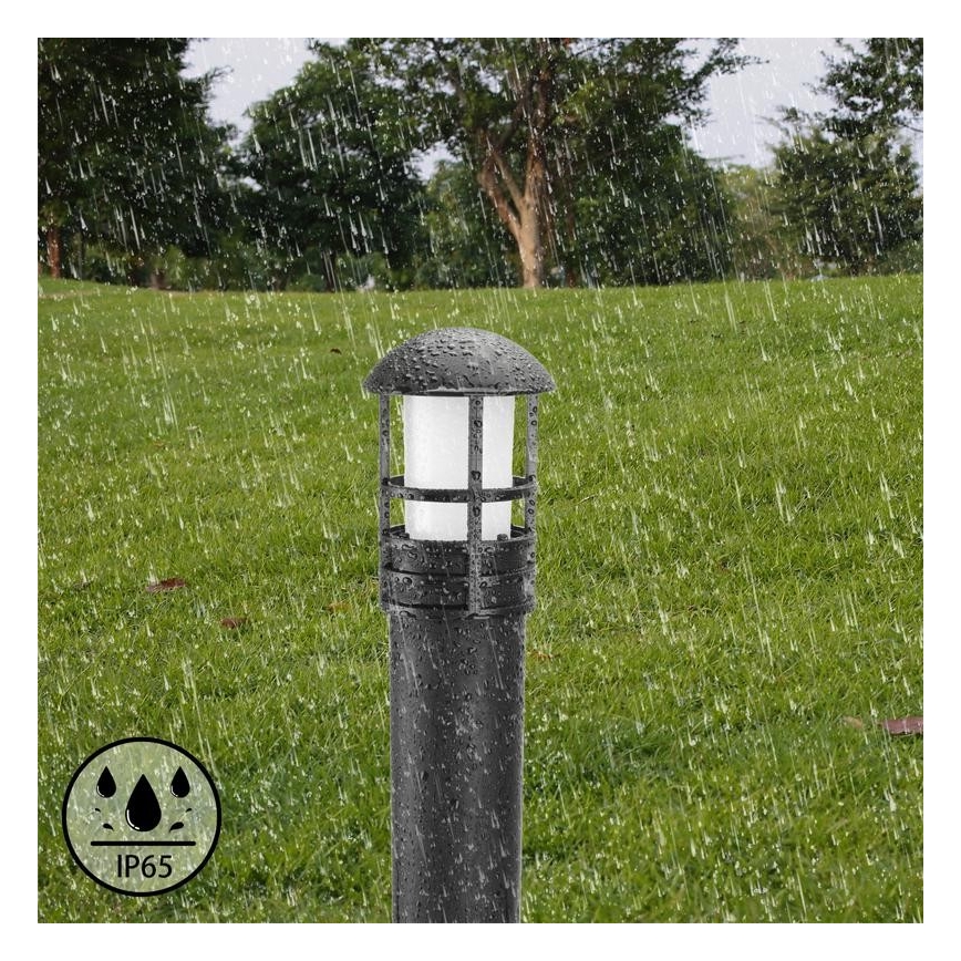 LED Zunanja svetilka LED/3W/230V 2800K IP65